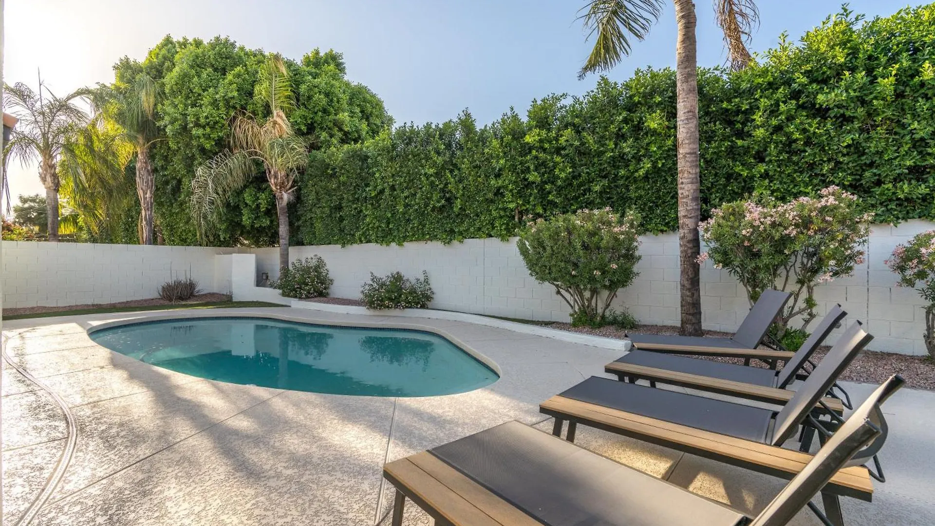 Black Palm Sparkling Pool Pool Table Close To Kierland Entertainment Newly Designed Beauty Phoenix Tatil Evi